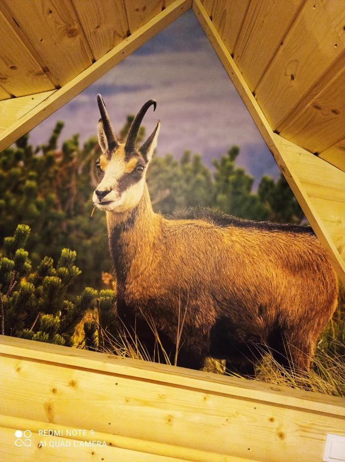 Noclegi U Gabrysi Косьцелісько Екстер'єр фото